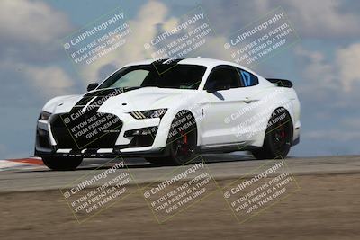 media/Mar-31-2024-Speed Ventures (Sun) [[a3b2bf813d]]/Purple/Session 2 (Grapevine)/